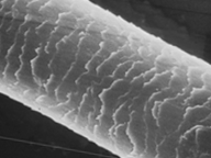 ヘアスタイルアーツ美容室の毛髪診断