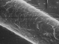 ヘアスタイルアーツ美容室の毛髪診断