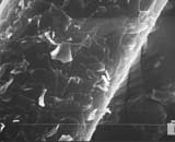 ヘアスタイルアーツ美容室の毛髪診断